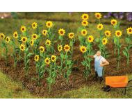 модель Faller 181256 Sunflowers -- 3/4"  2см., упаковка 16 шт.  